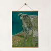 Napier - Aerial Art