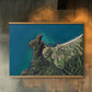 Omaio - Aerial Art
