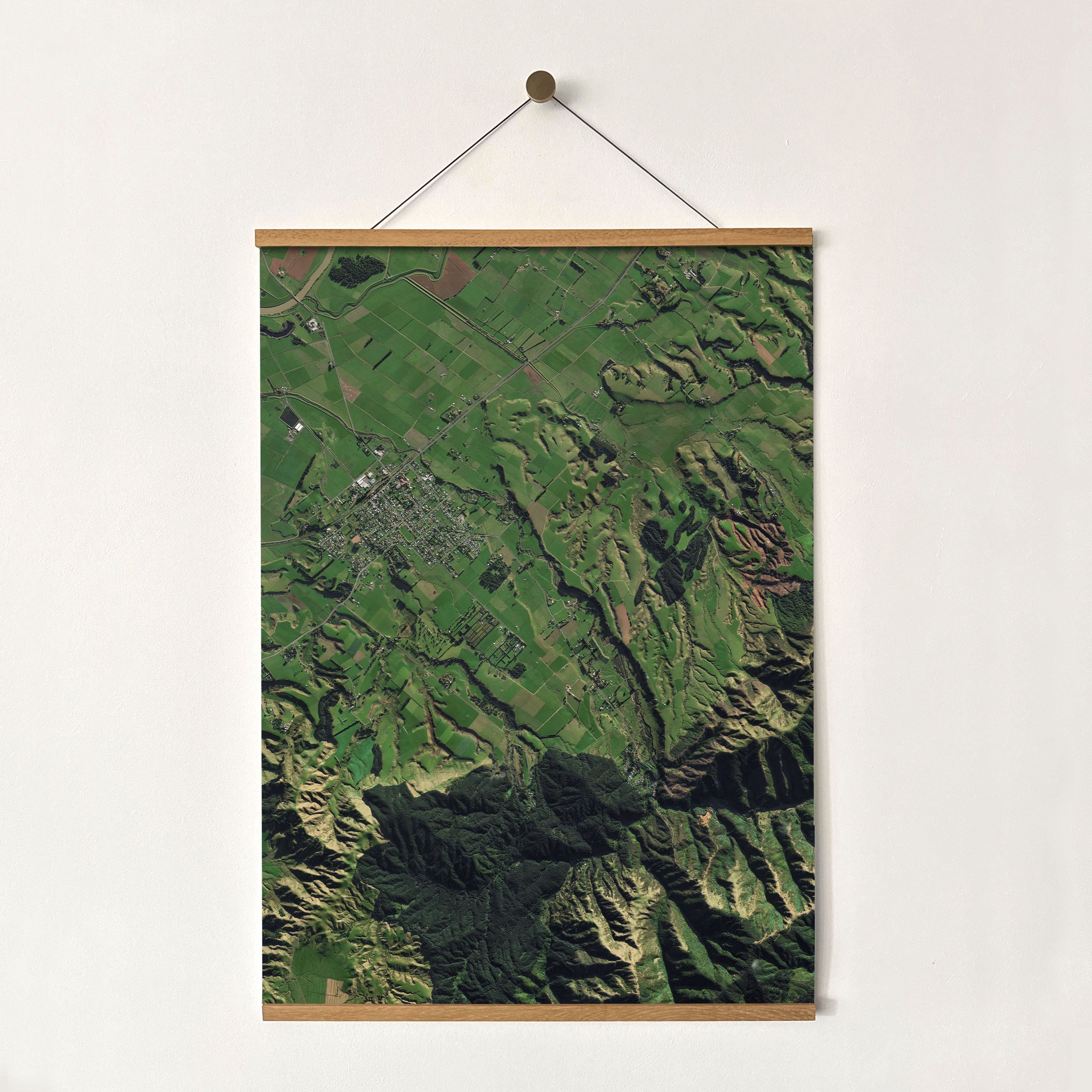 Shannon - Aerial Art