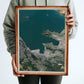 Wellington - Aerial Art