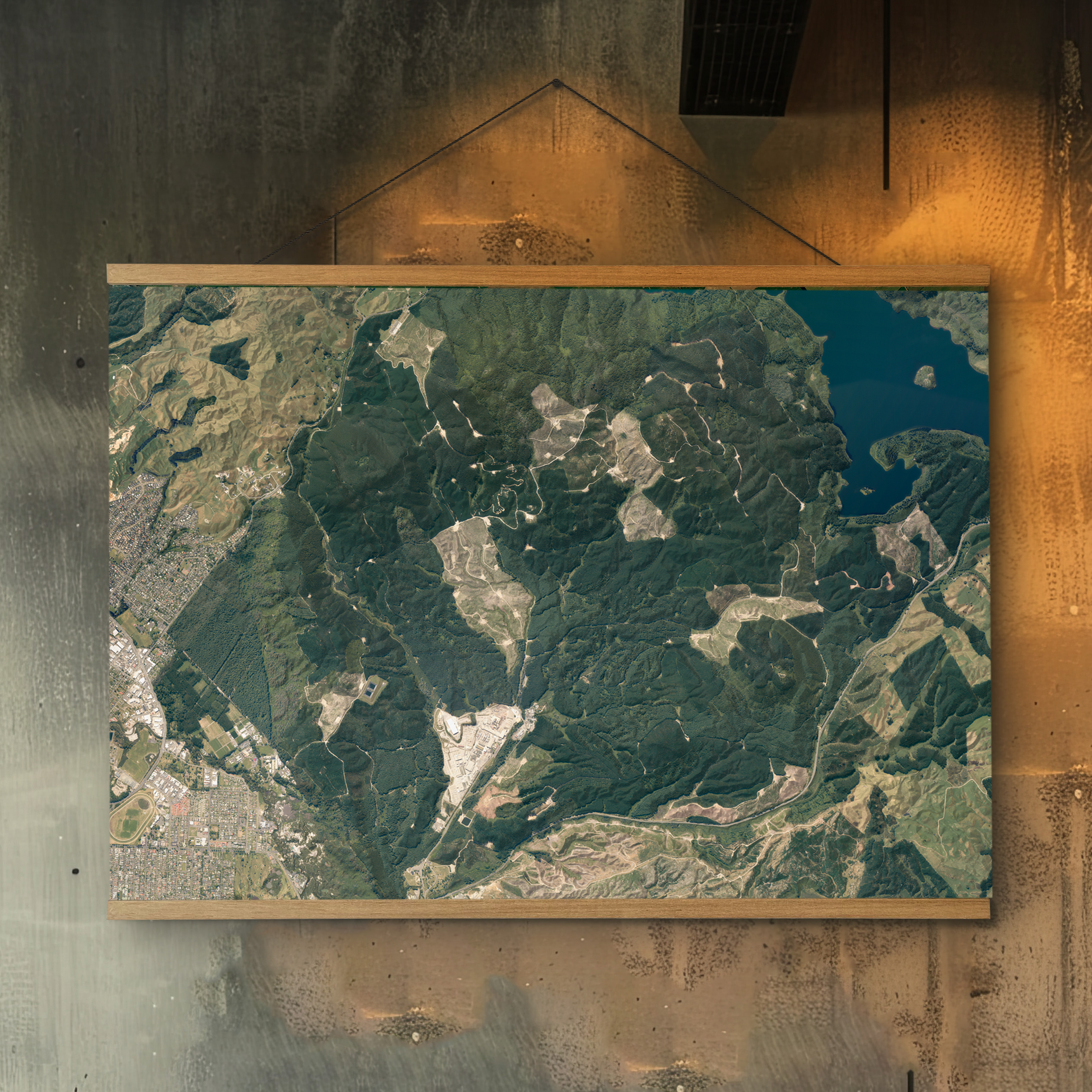 Redwoods Forest Rotorua - Aerial Art