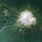 Mount Taranaki with Coastline