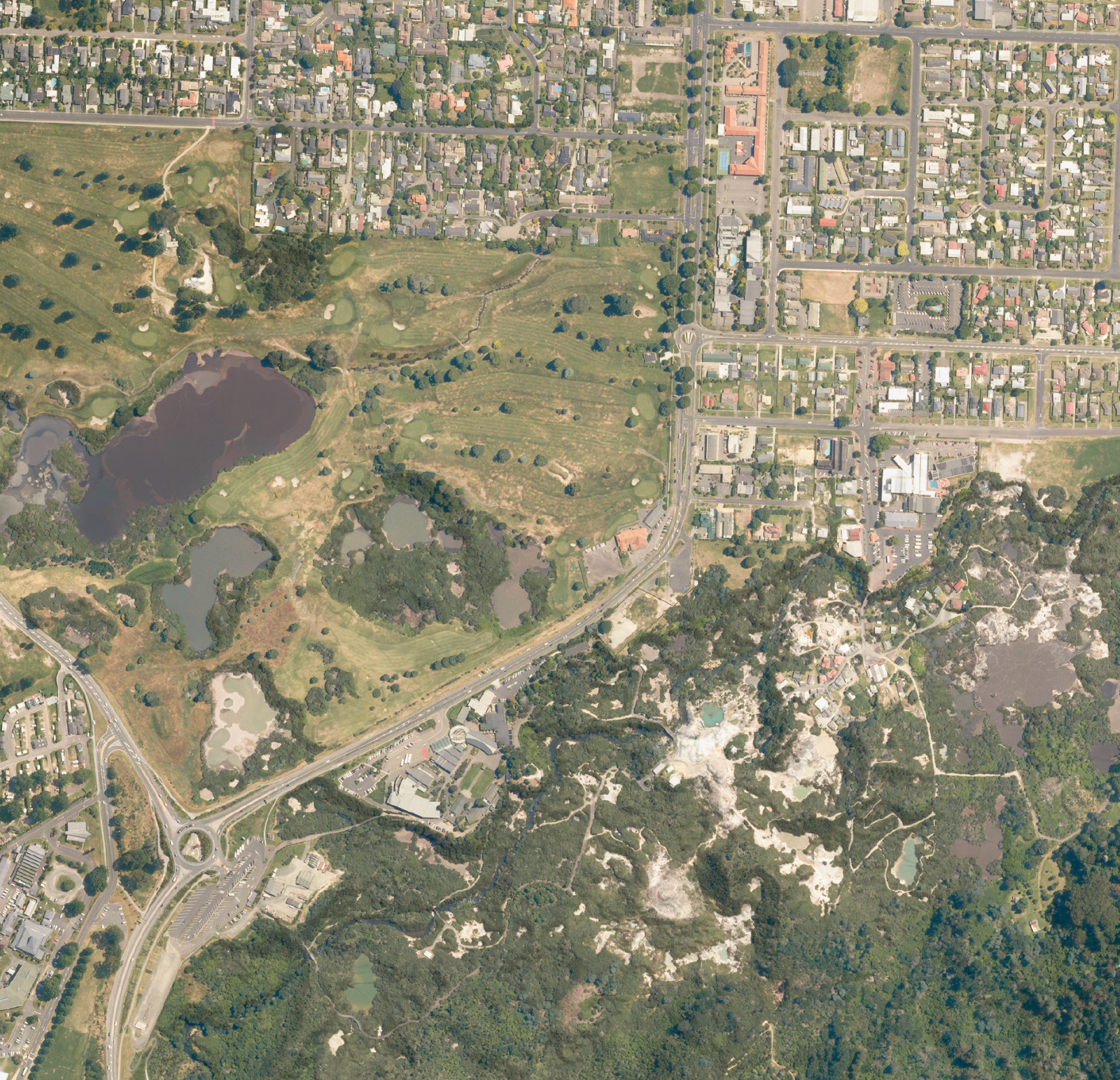 Redwoods Forest Rotorua - Aerial Art
