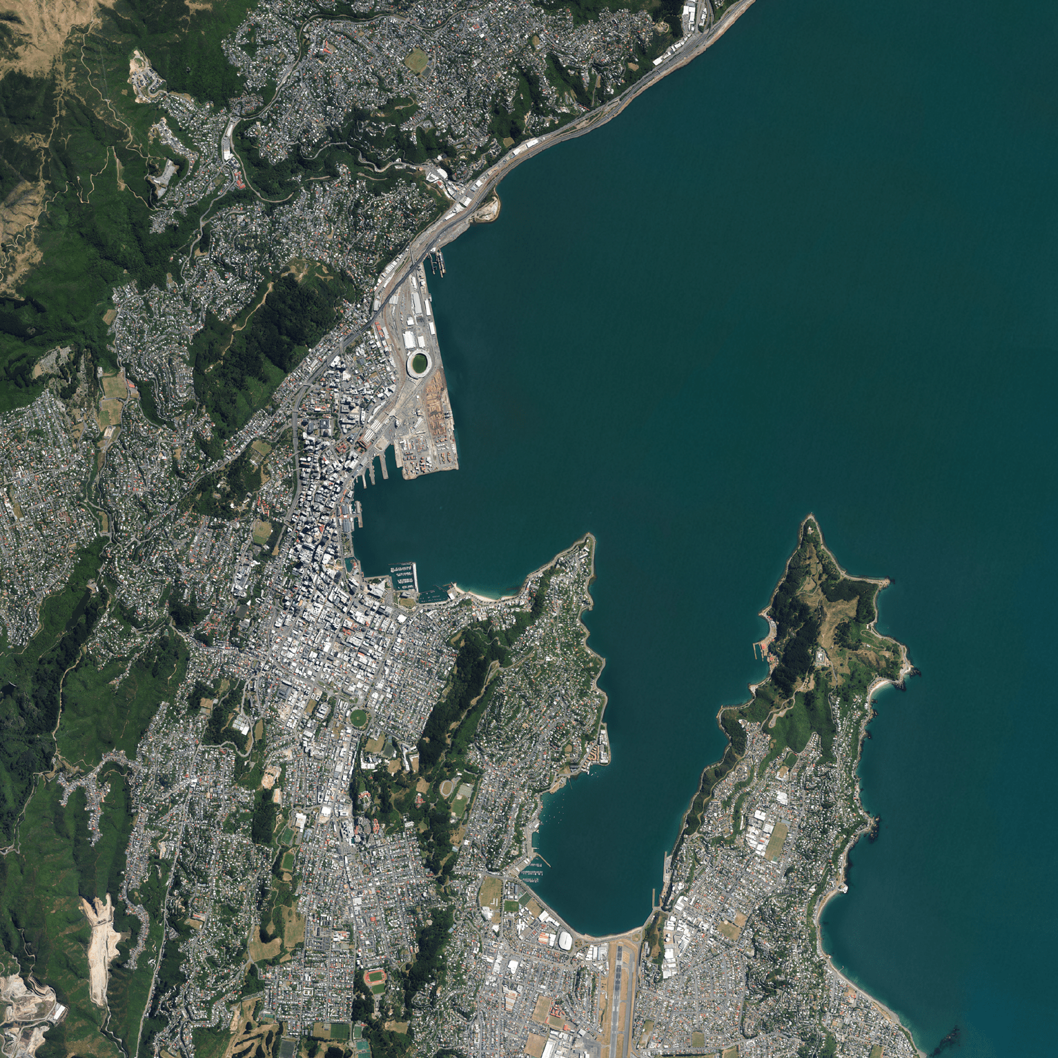 Wellington - Aerial Art