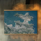 Wellington - Aerial Art